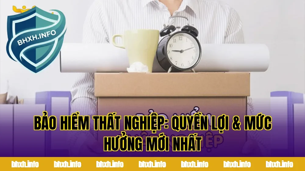 Bảo Hiểm Thất Nghiệp: Quyền Lợi & Mức Hưởng Mới Nhất