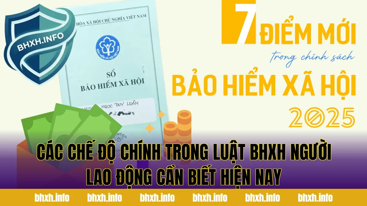 Các chế độ chính trong luật BHXH người lao động cần biết hiện nay