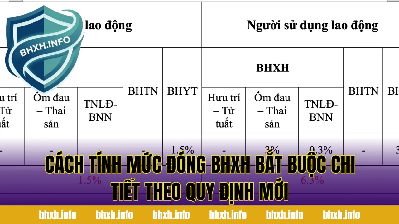Cách tính mức đóng BHXH bắt buộc chi tiết theo quy định mới