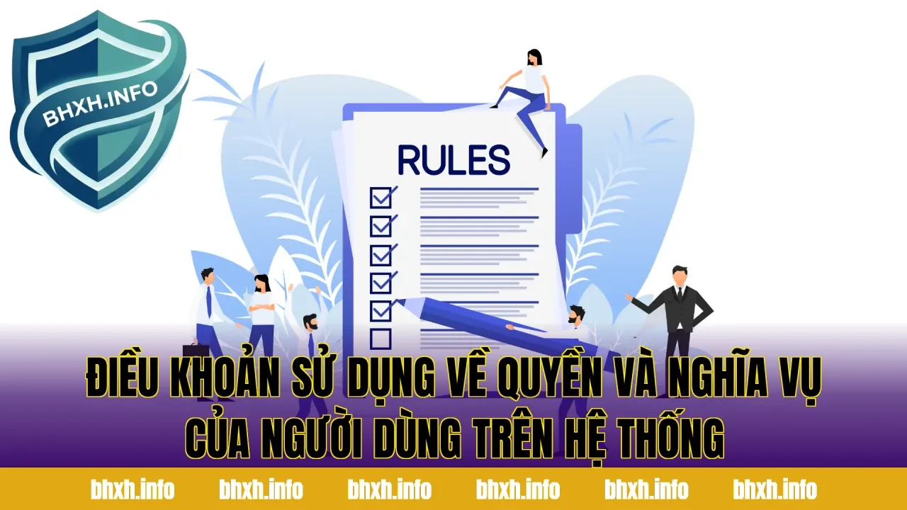 Điều khoản sử dụng về quyền và nghĩa vụ của người dùng trên hệ thống