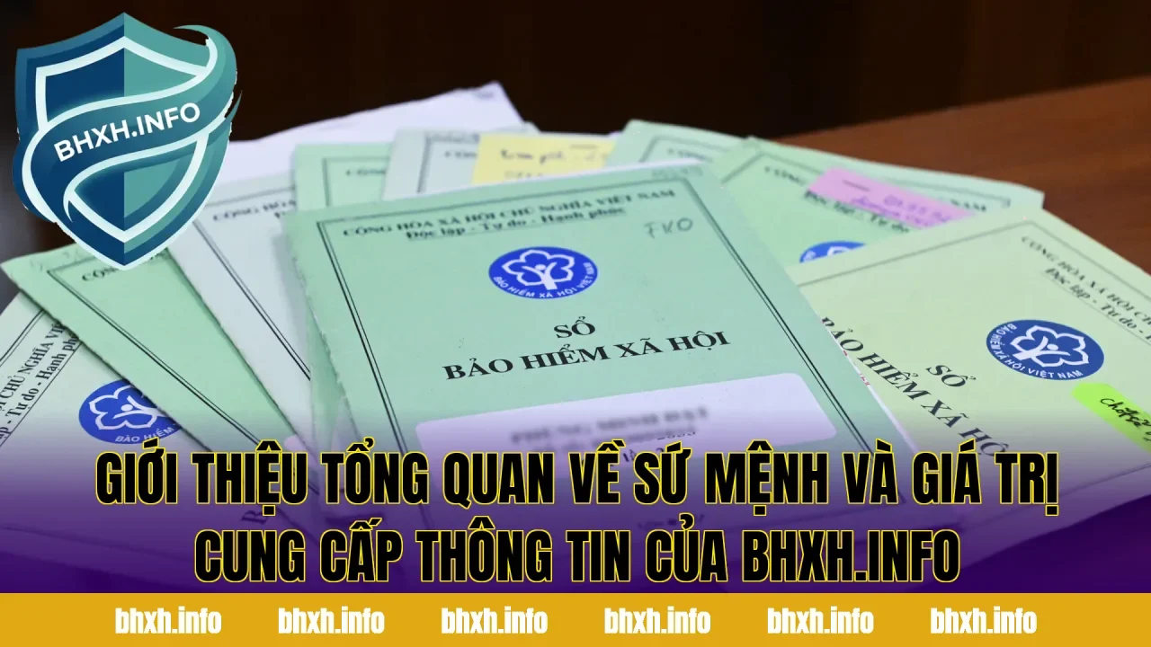 Giới thiệu tổng quan về sứ mệnh và giá trị cung cấp thông tin của bhxh.info