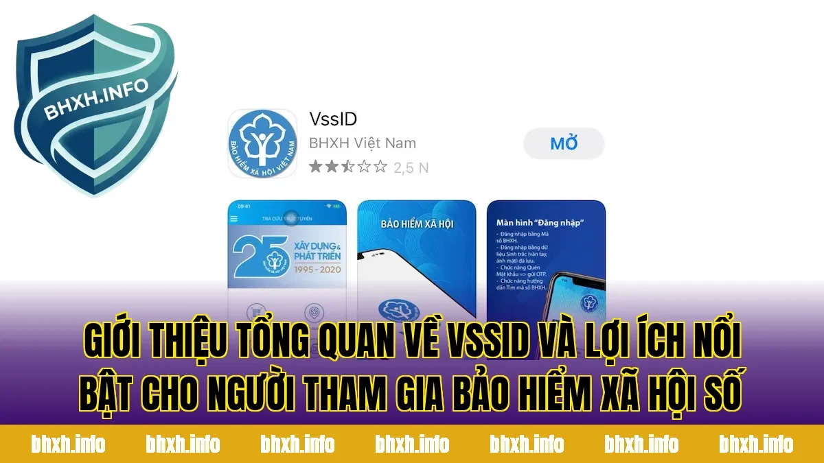 Giới thiệu tổng quan về VssID và lợi ích nổi bật cho người tham gia bảo hiểm xã hội số