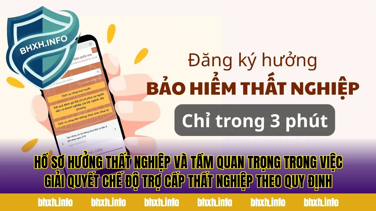 Hồ sơ hưởng thất nghiệp và tầm quan trọng trong việc giải quyết chế độ trợ cấp thất nghiệp theo quy định