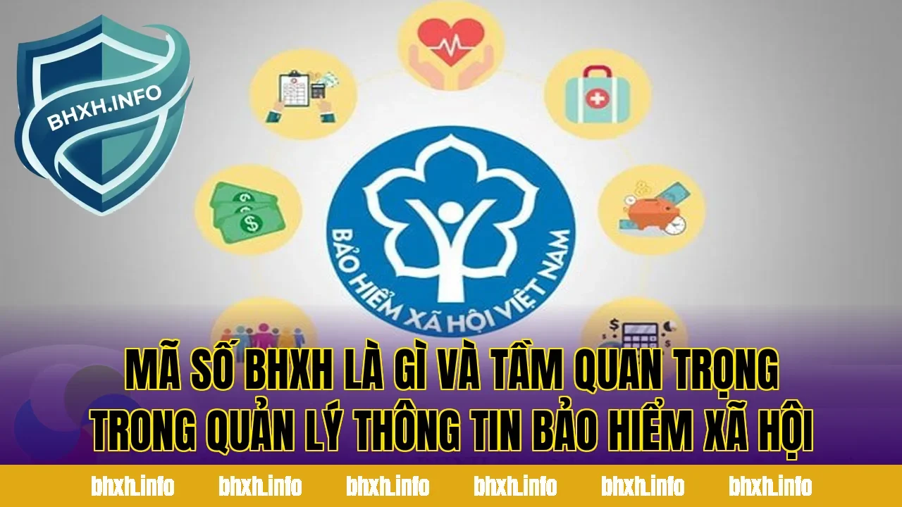 Mã số BHXH là gì và tầm quan trọng trong quản lý thông tin bảo hiểm xã hội