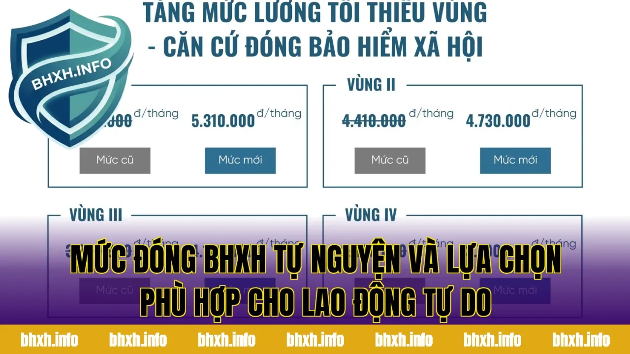 Mức đóng BHXH tự nguyện và lựa chọn phù hợp cho lao động tự do