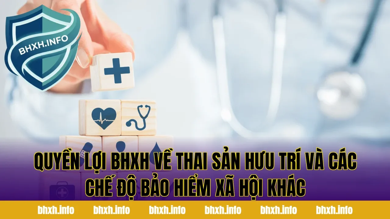 Quyền lợi BHXH về thai sản hưu trí và các chế độ bảo hiểm xã hội khác