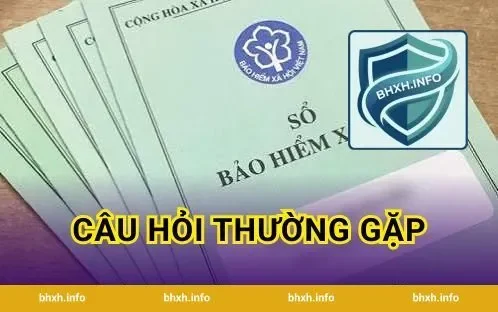Câu hỏi thường gặp