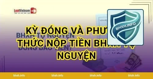 Kỳ đóng và phương thức nộp tiền BHXH tự nguyện