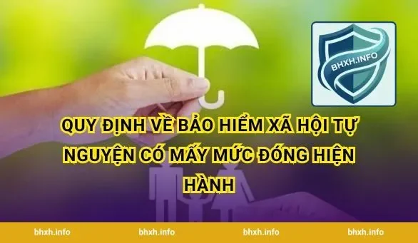 Quy định về bảo hiểm xã hội tự nguyện có mấy mức đóng hiện hành